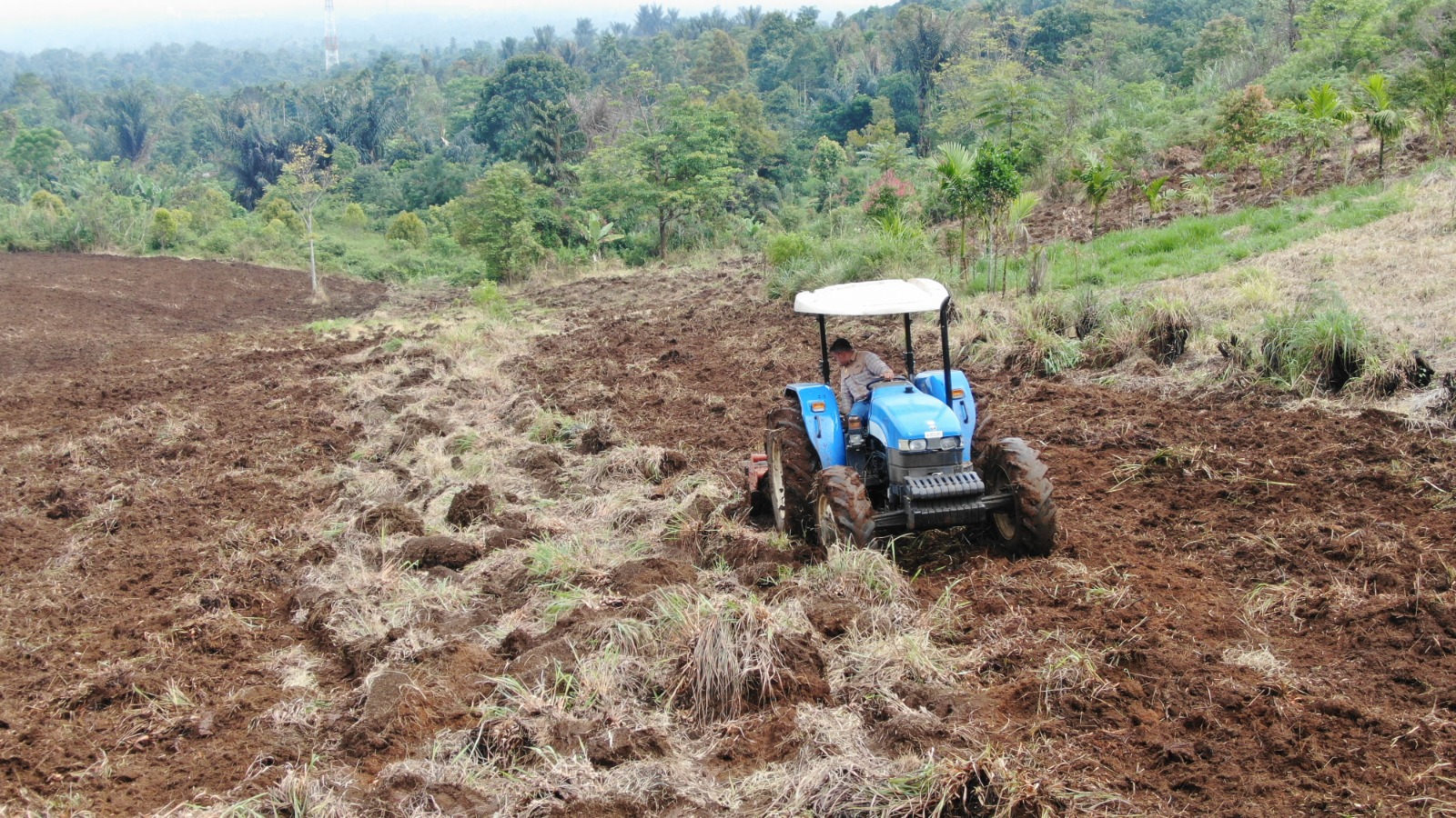 Peran BPTUHPT Padang Mengatas dalam Pembukaan Lahan Pertanian di Nagari Sei Kamunyang.