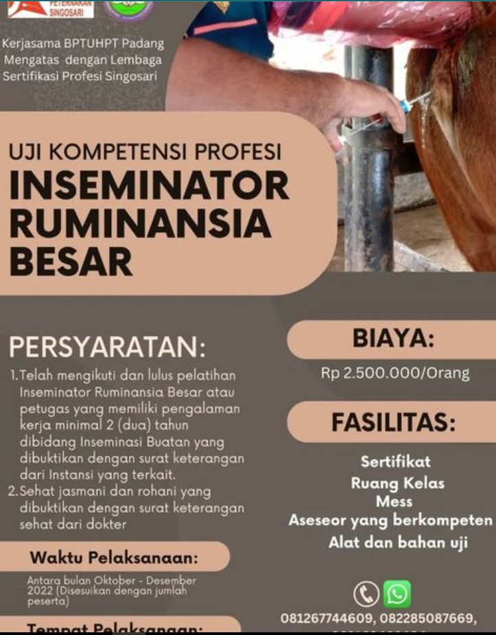 BPTU HPT Padang Mengatas dan LSP Singosari Gelar Uji Kompetensi untuk Inseminator Ruminansia Besar