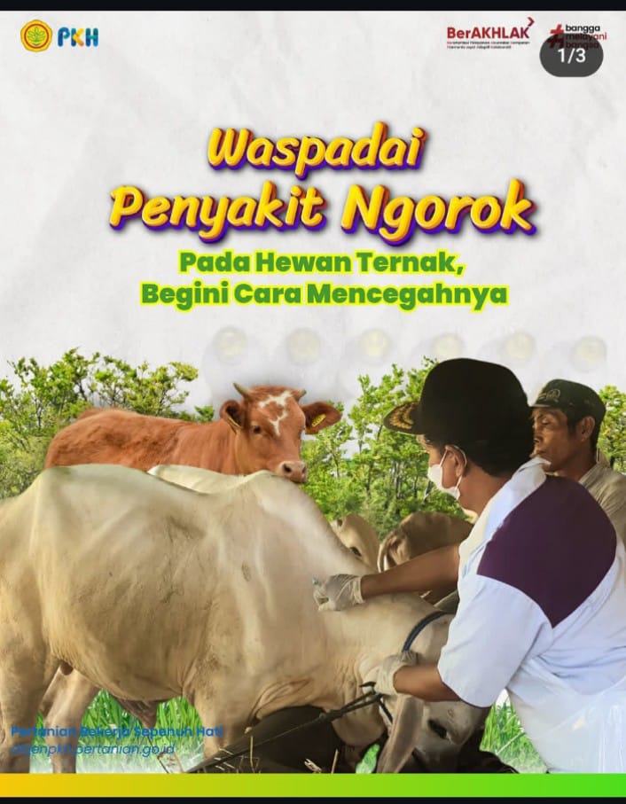 Waspadai Penyakit Ngorok Pada Hewan Ternak, Begini Cara Mencegahnya