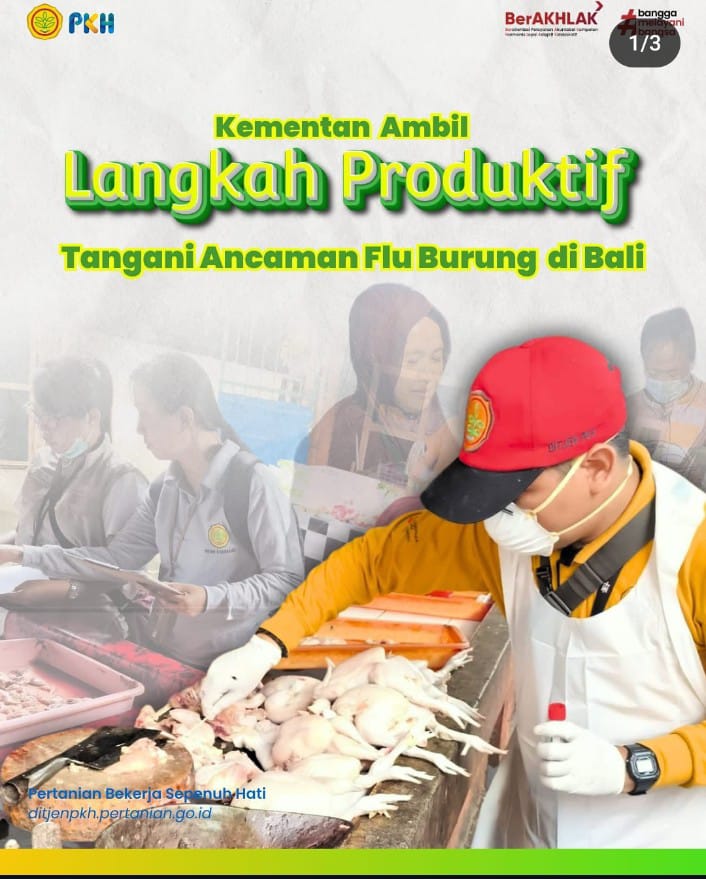 Kementan Ambil Langkah Produktif Tangani Ancaman Flu Burung di Bali