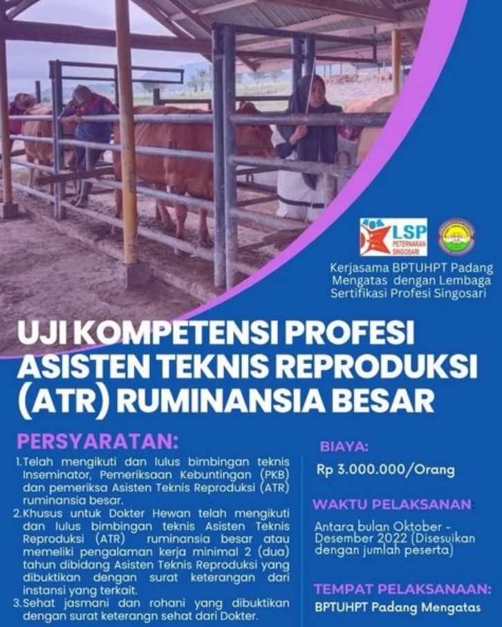 Uji Kompetensi untuk Asisten Teknis Reproduksi (ATR) Ruminansia Besar di BPTU HPT Padang Mengatas
