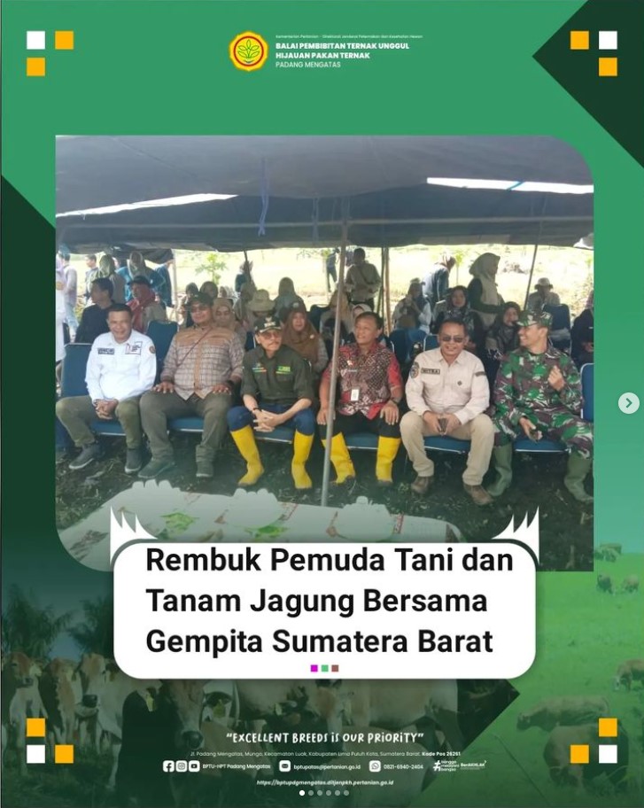 Rembuk Pemuda Tani dan Tanam Jagung Bersama Gempita Sumatera Barat