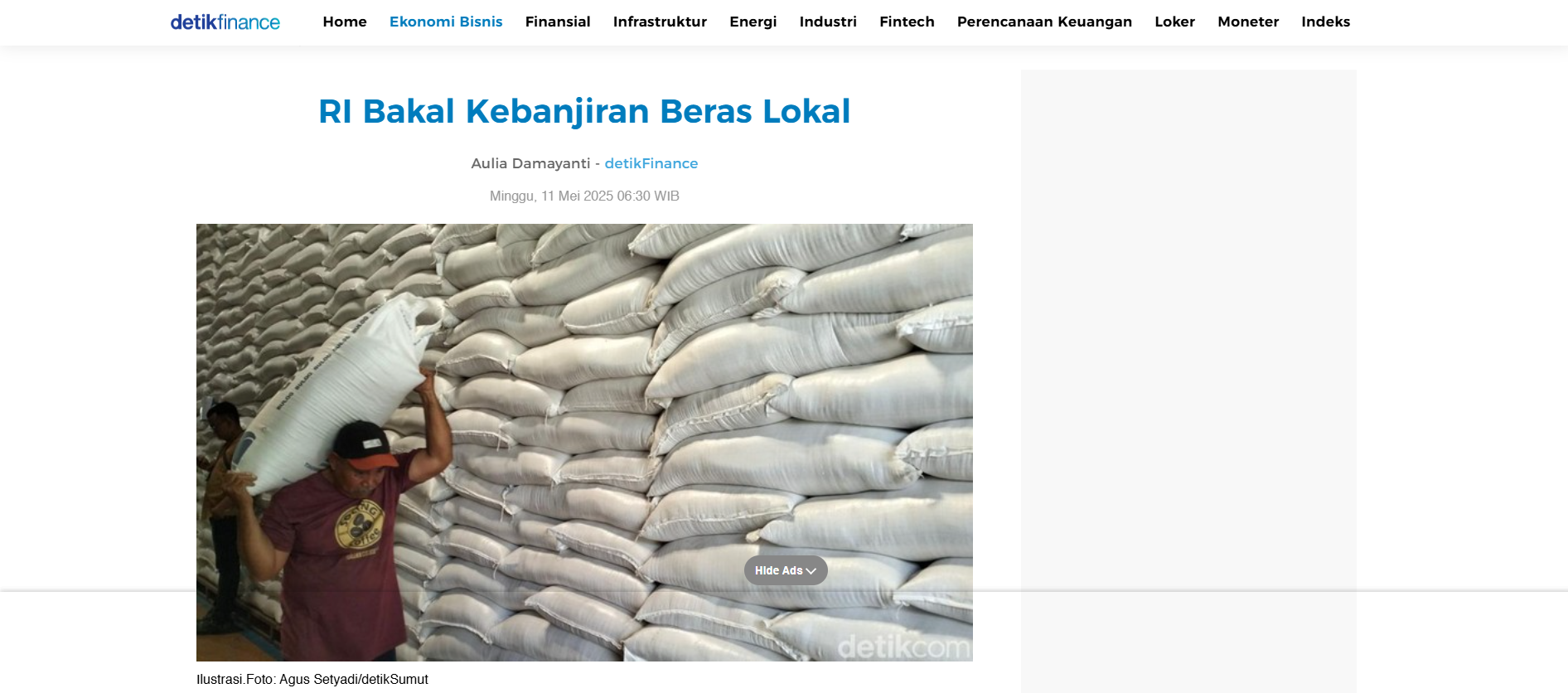 RI Bakal Kebanjiran Beras Lokal